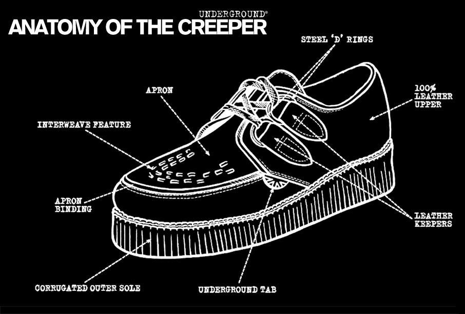 anatomy of the wulfrun creeper
