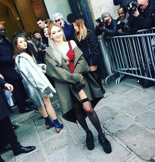 Cl from 2ne1 in the wulfrun creeper